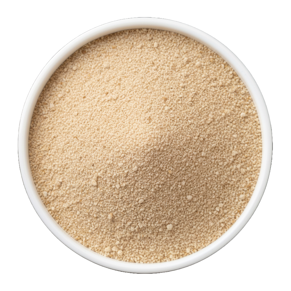 whole wheat flour bulk supplier